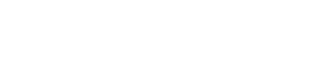 SFYS Logo weiss mit Grafik