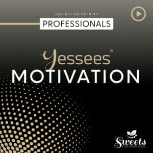 Motivation Yessees® Mindsettraining für Profis