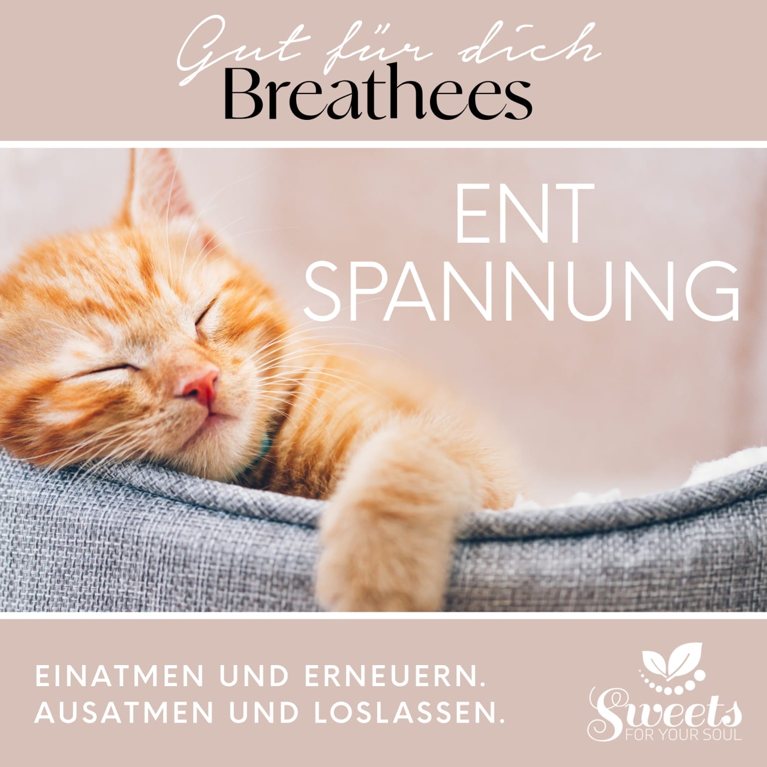 Breathees Entspannung, Atemtool, Atemtechnik, Breathtool, Atemübung