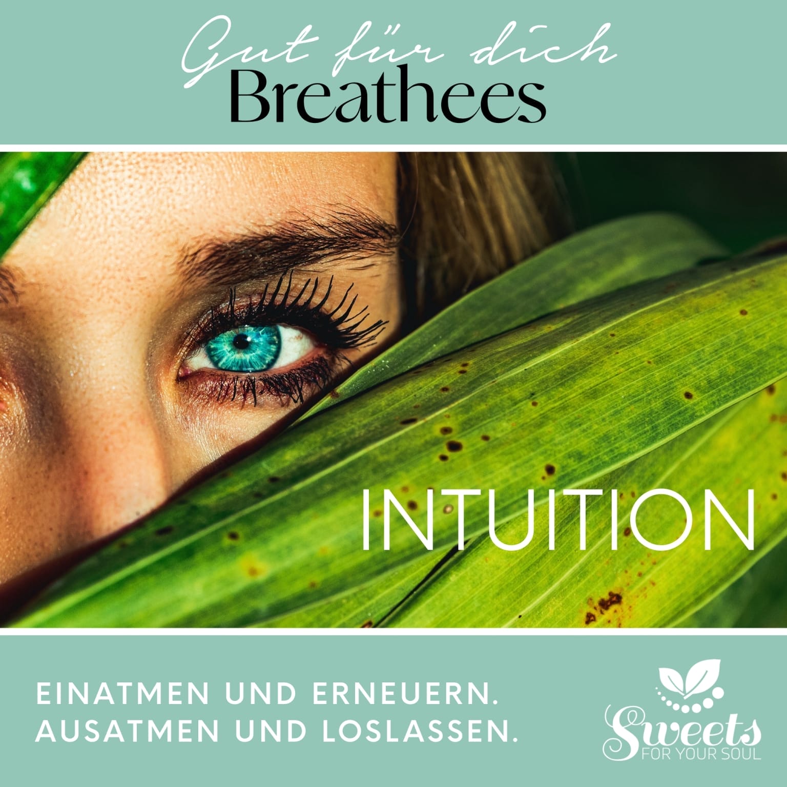 Breathees Intuition, Atemtool, Atemtechnik, Breathtool, Atemübung