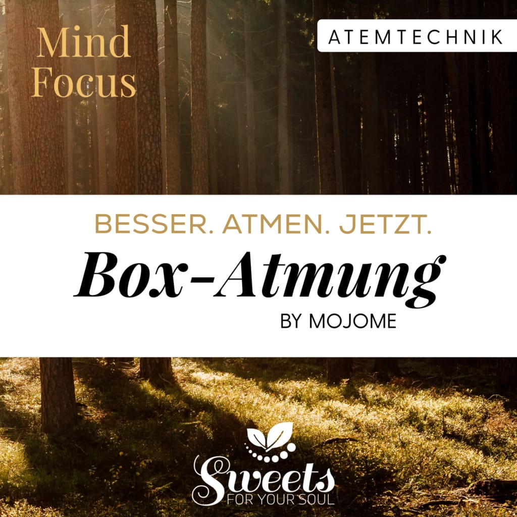 Breathtool Box Atmung - Verbessere deine mentale Gesundheit mit Audiotools, Meditationen und Affirmationen