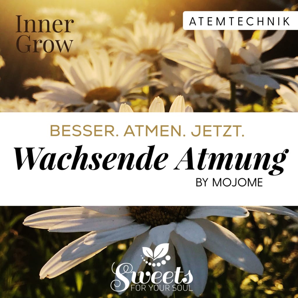 Breathtool Wachsende Atmung - Verbessere deine mentale Gesundheit mit Audiotools, Meditationen und Affirmationen