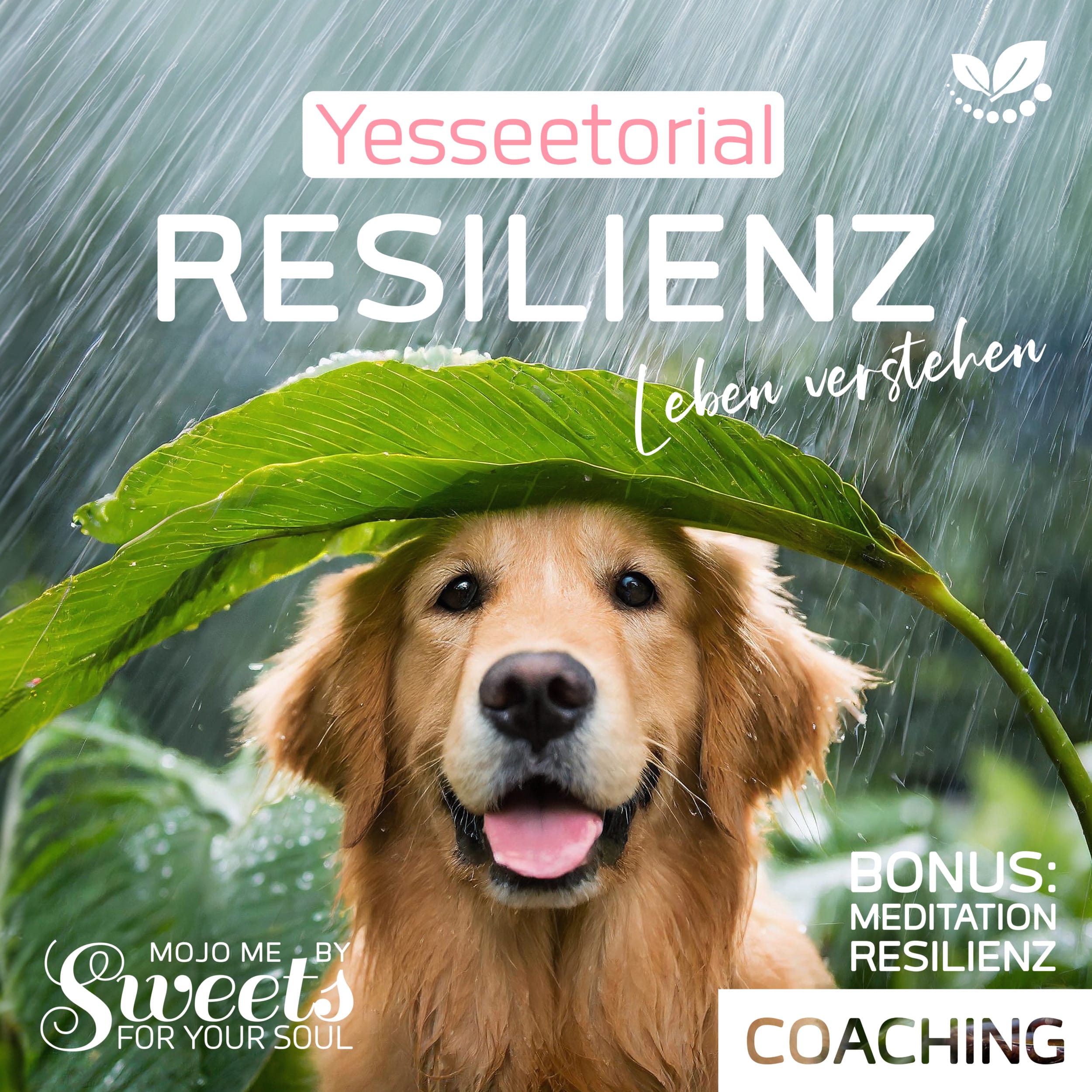 Yesseetorials Resilienz