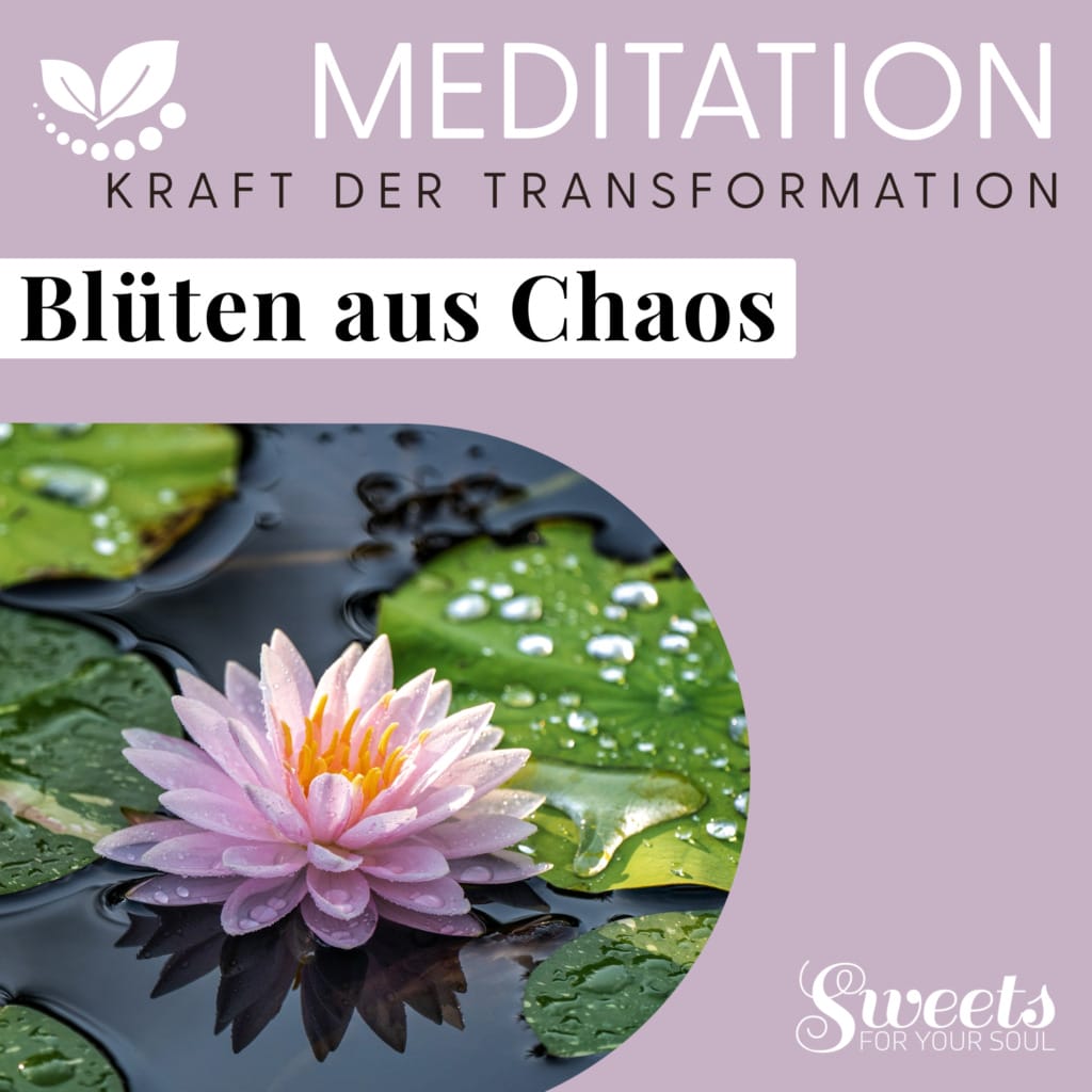 Meditation Blueten aus Chaos - Verbessere deine mentale Gesundheit mit Audiotools, Meditationen und Affirmationen