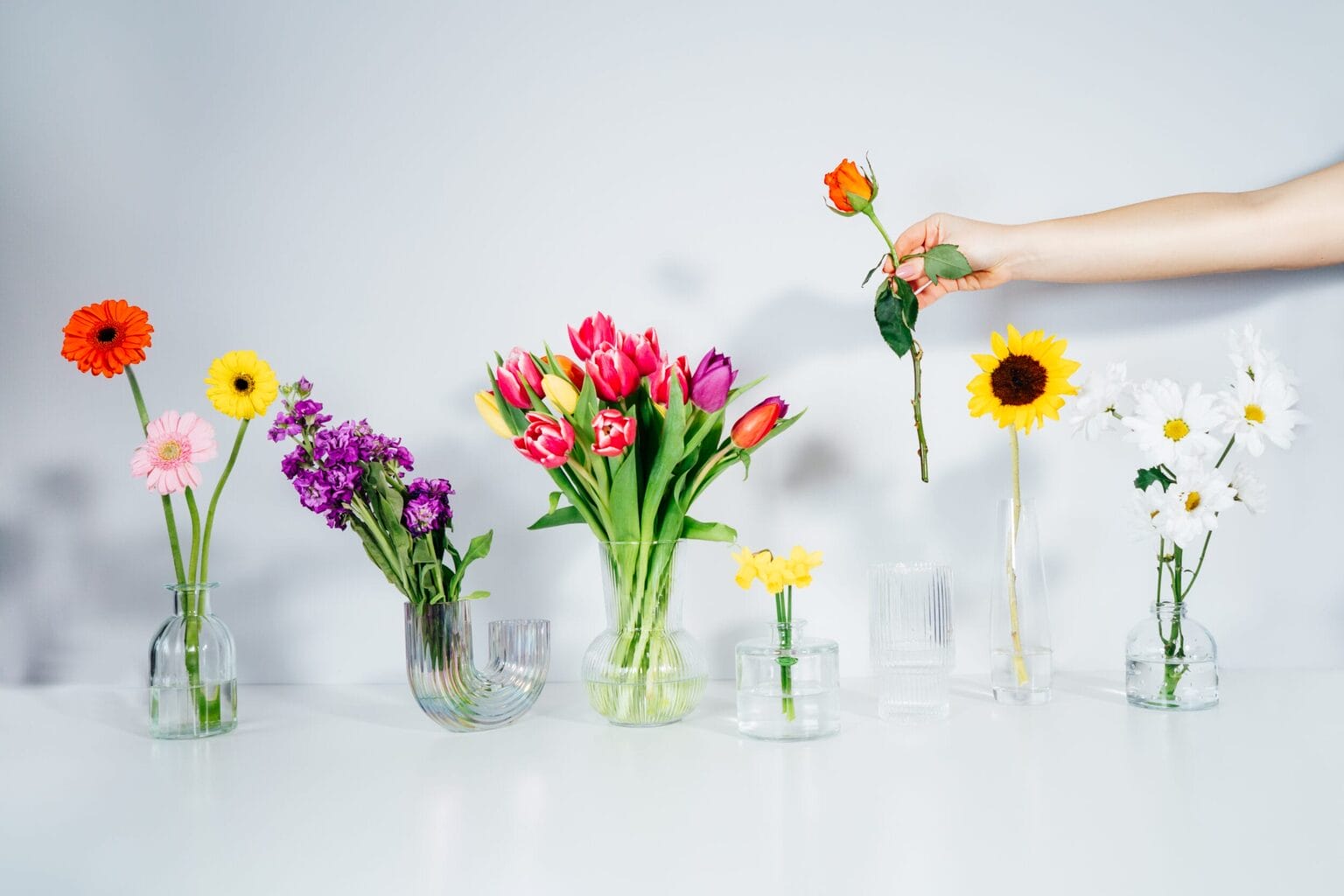Flourishing Studie