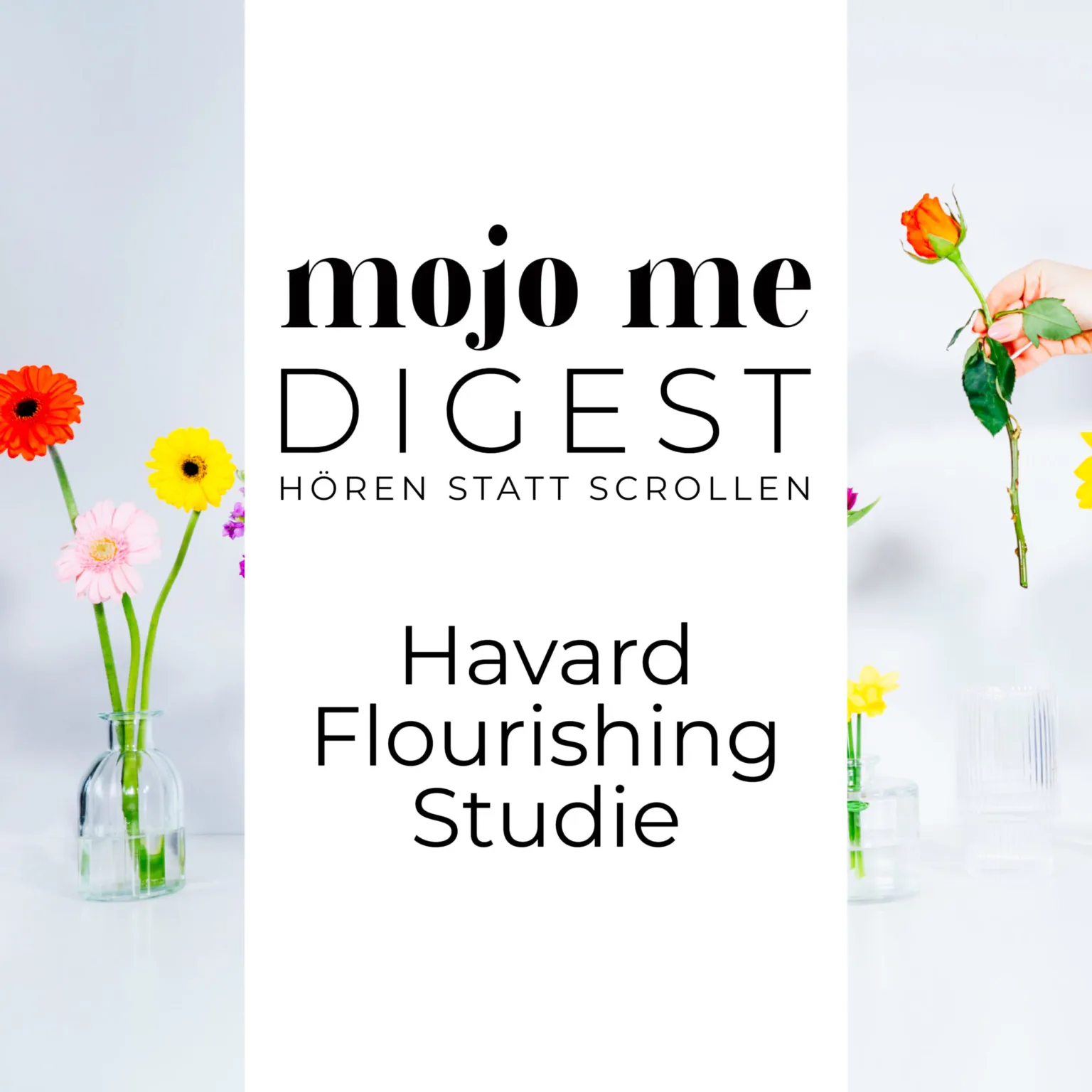 MojoMe Digest Cover Harvard - Verbessere dein Wohlbefinden, deine Mentale Gesundheit und Achstamkeit