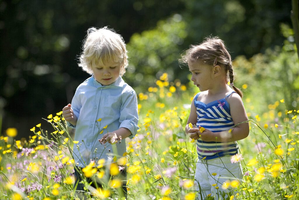 little boy and girl picking flowers in the parc 2025 03 23 21 42 03 utc - Verbessere dein Wohlbefinden, deine Mentale Gesundheit und Achstamkeit